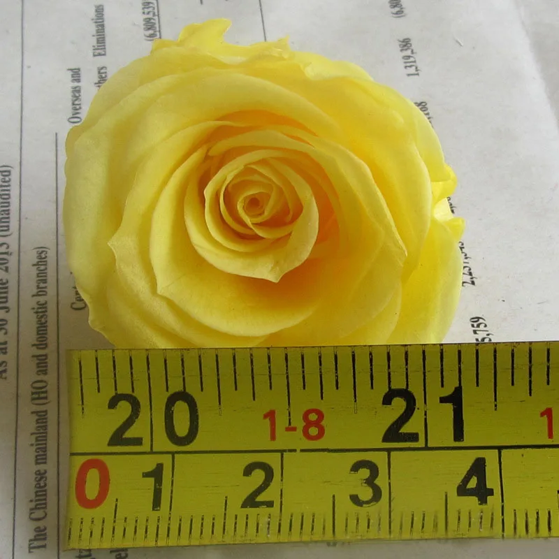 preserved flower eternal flower A 3-4cm (25)