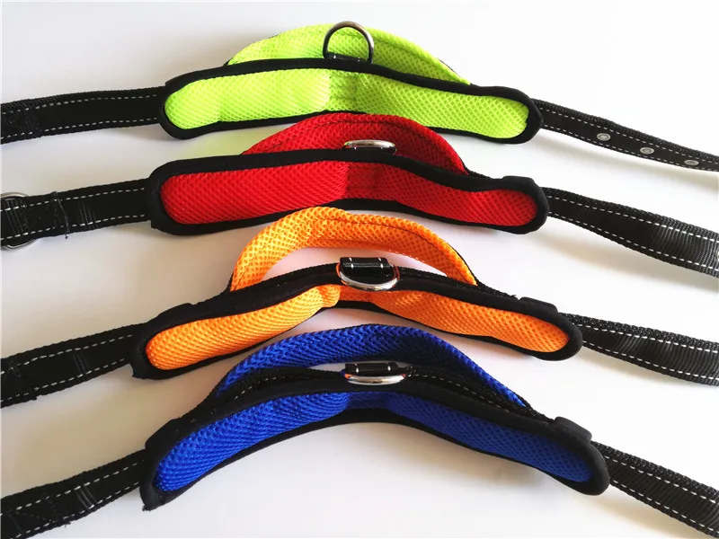 Dog Collar and Leash Set (22)