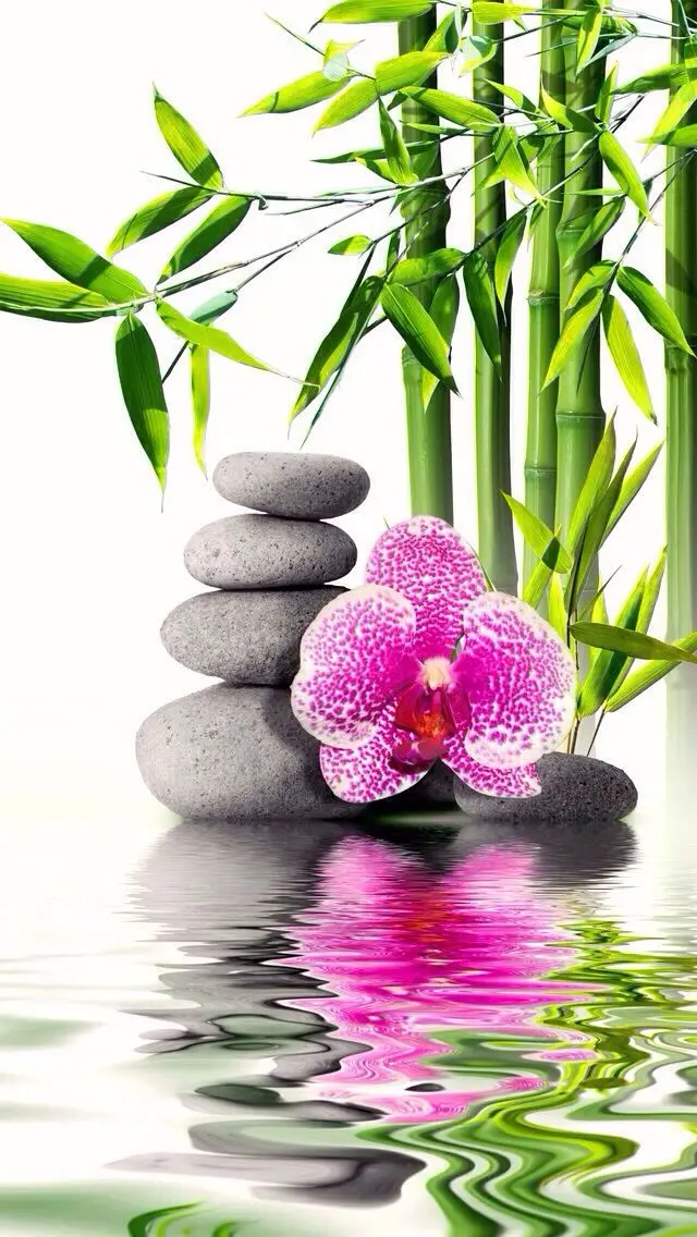 7fe4e45e6bfdf5c70a9af68c7671f0a6--zen-attitude-attitude-positive