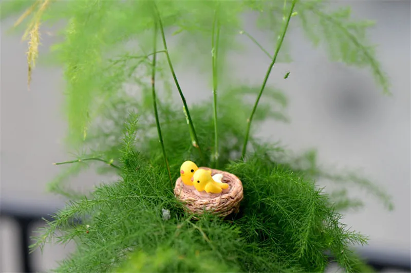 Новое мини гнездо с птицами Сказочный Сад миниатюрные гномы моховые террариумы фигурки из смолы для украшения дома аксессуары