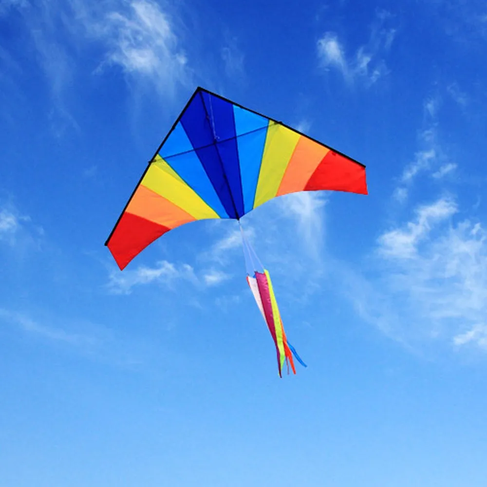 воздушный змей 2010