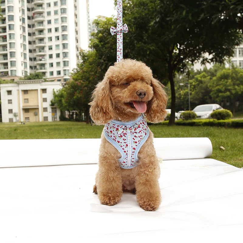 harness4