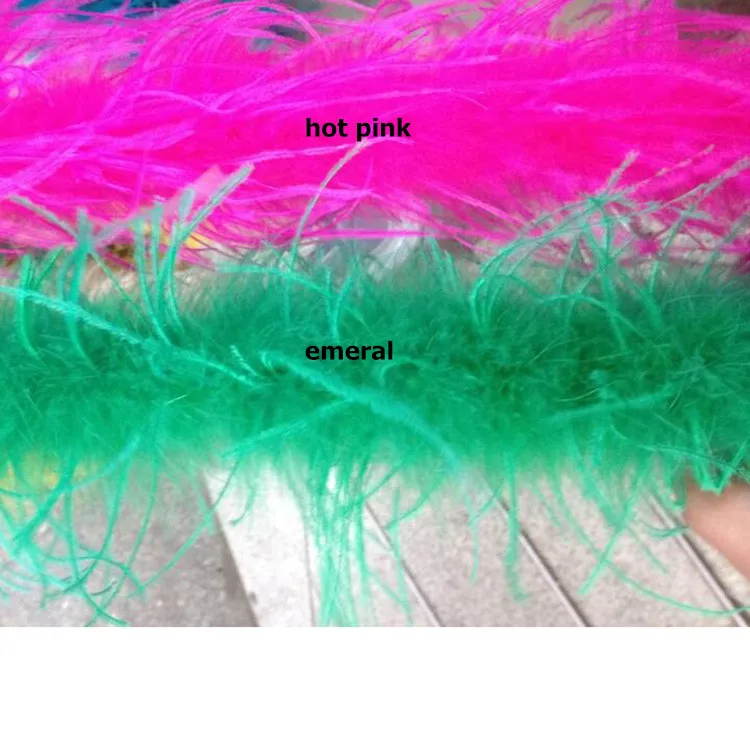 ostrich feather