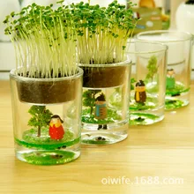 Desktop potted plant ecology fairy cup bottle micro landscape ecology grass lazy creative pot zakka plant