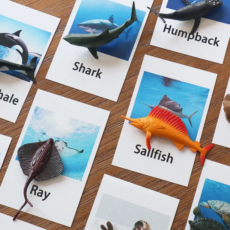 Montessori Toys For 3 Year Olds Marine Animals Educational Early Learning Toys For Children Birthday Gift MJ1364H