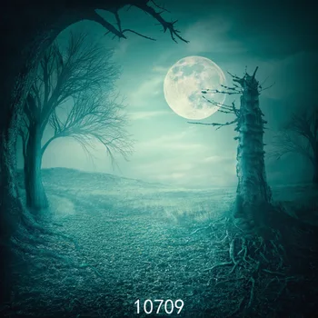 

SJOLOON All Saints' Day photography background Hallowmas photography backdrops children photo background photo studio thin prop