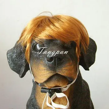 

Tangpan Short Gold Pet Cat Dog Bobo Wig Pet Accessories