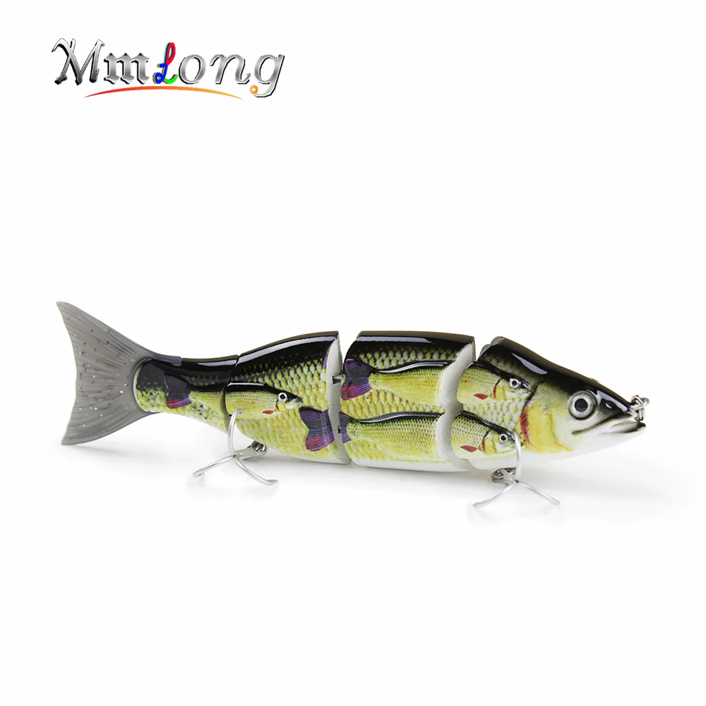Group fish 3