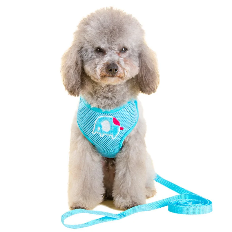 Fashion Dog Harness and Leash Set Teddy Dog Harness Vest Pet Walking Harnesses Leash Set Puppy Cartoon Collar for Small Dogs Cat