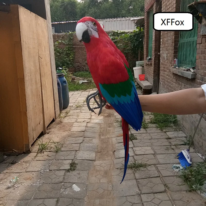 HTB1otLsSpXXXXXJaXXXq6xXFXXXC