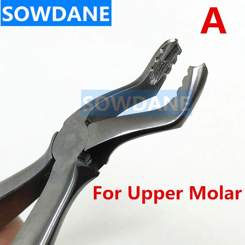 

1 pcs Dental Children Tooth Extraction Forcep for Upper Molar Dental Orthodontic Instrument Tool