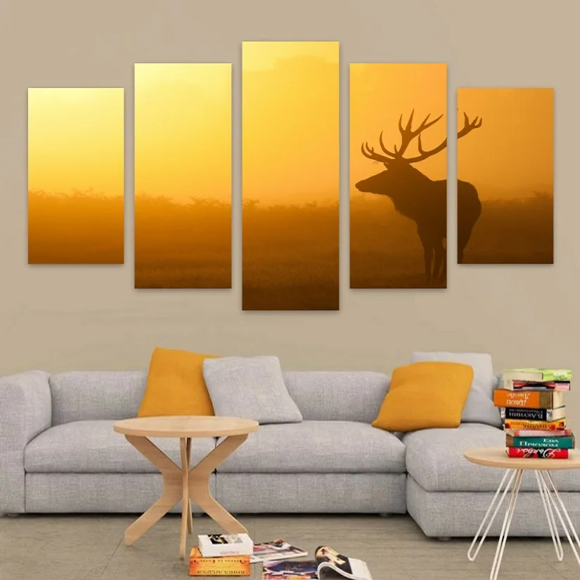 ELK 5
