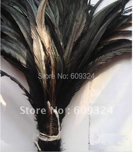 Natural Cock tail feather Black 10-18 in//25-45 cm 100 pcs Carnaval À faire soi-même Costume