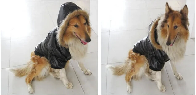 Новые модные куртки для больших собак на осень и зиму одежда для больших собак теплое мягкое пальто Одежда для питомцев товары для домашних животных 1 шт. s m l