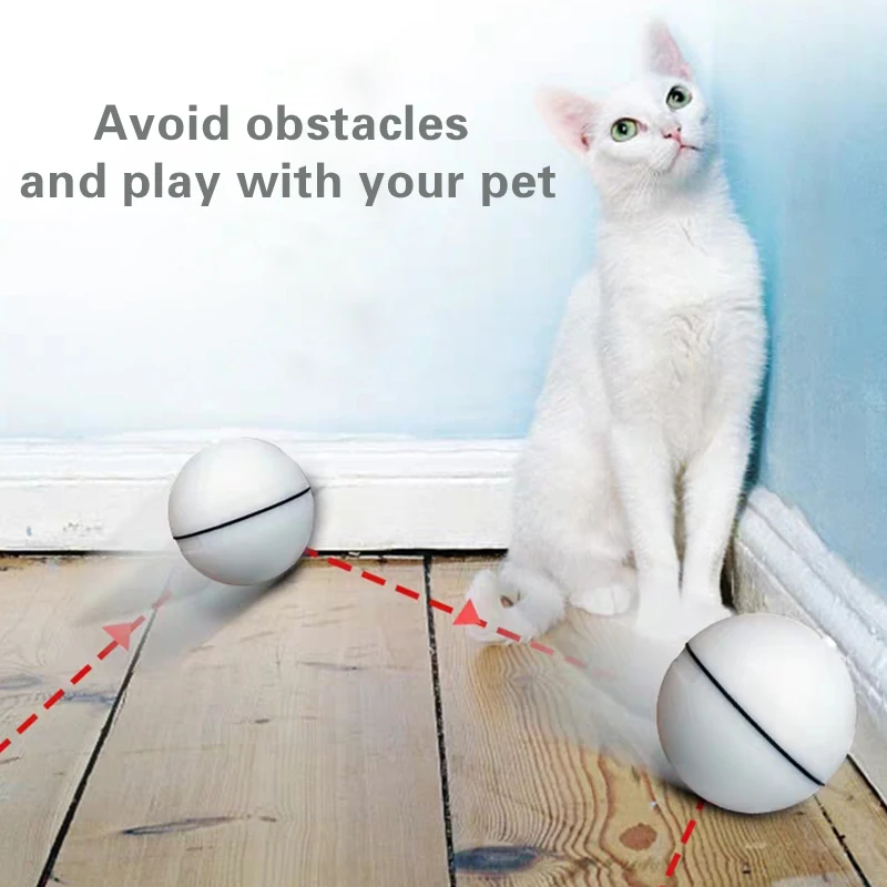 Crazy chase Funny Cat Toys Pet Interactive Command Red Light Training Tools