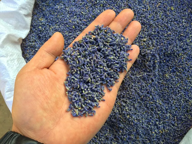 Осень натуральный 500 г фиолетовый высушенный цветок лаванды частицы сумки подушки Лавандовые мешочки