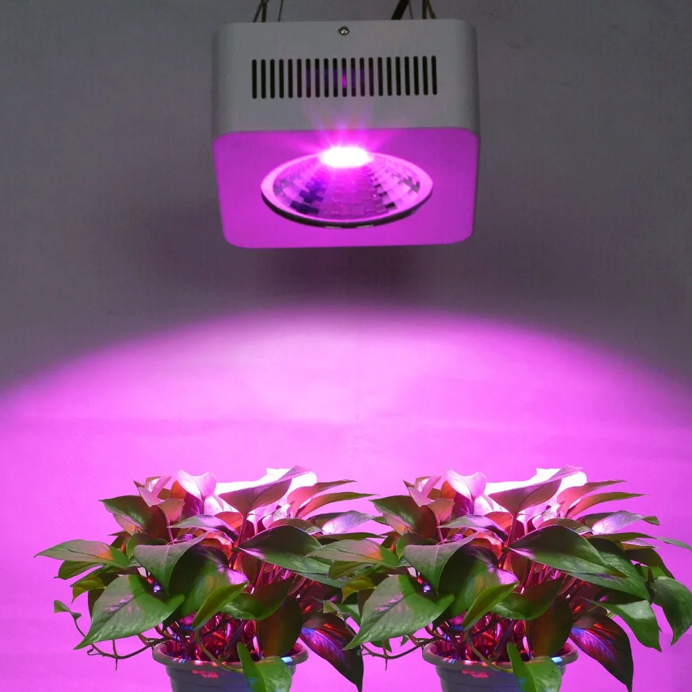 2pcs/lot Free Shipping US Stock 200W Full Spectrum COB Led Grow Light