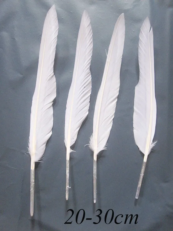 cheap Goose Feathers for sale! 500pcs/lot 20 30cm / 8 12" white curly