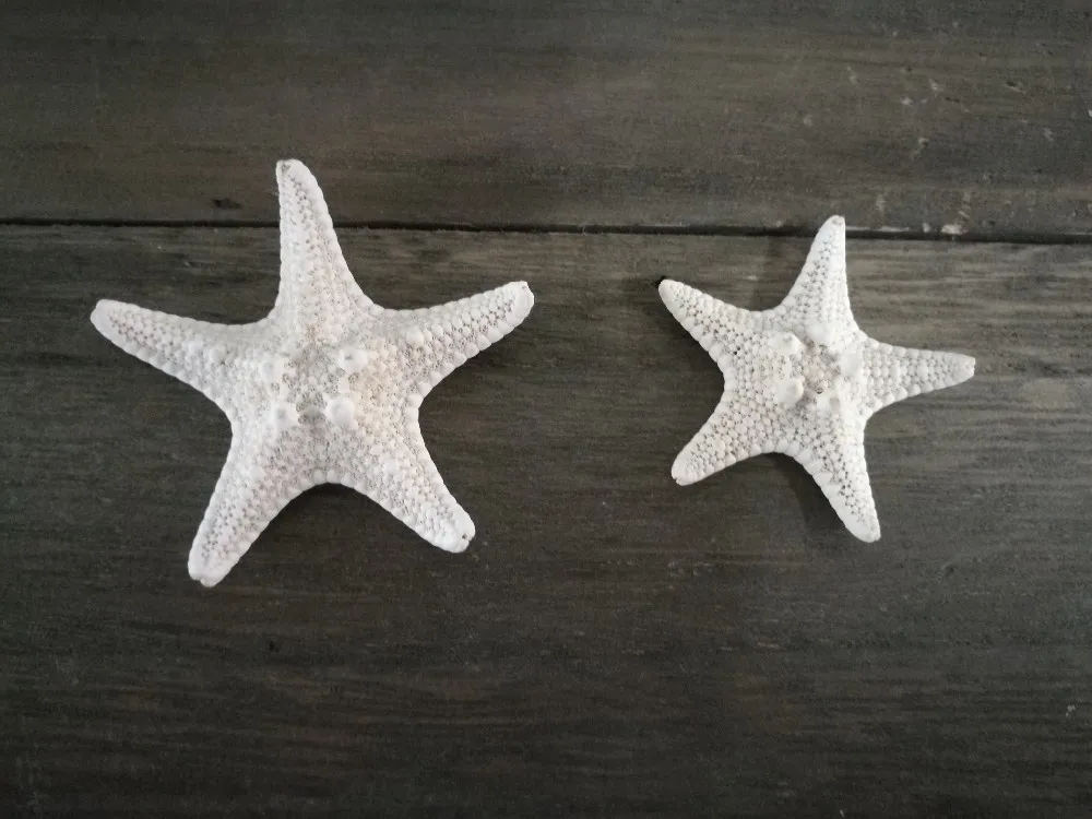 3 см-5 см натуральный сухой булочка звезда рыба, идея для украшения дома и вечерние украшения