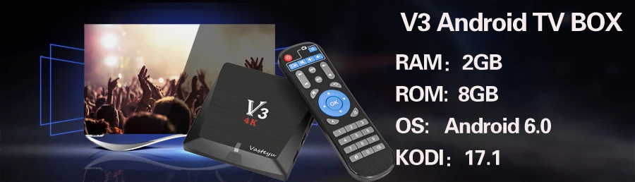 v3