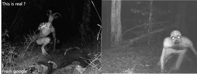 Hunting trail camera gsm mms (2)_