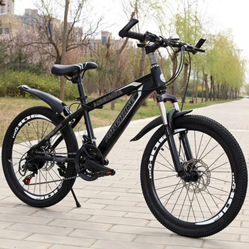 Student Adult Bicycle 24-Speed Two-Disc Brake Shock Absorber 22-Inch Mountain Bike