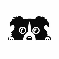 dianxiaobao
