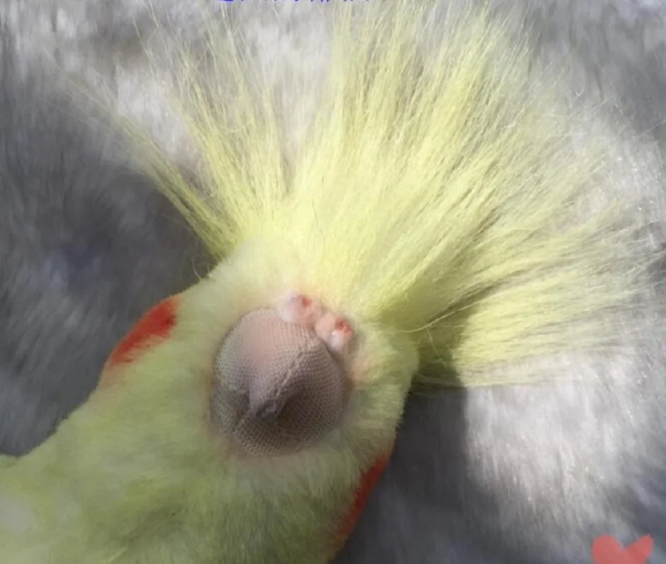 yellow bird stuffed animal