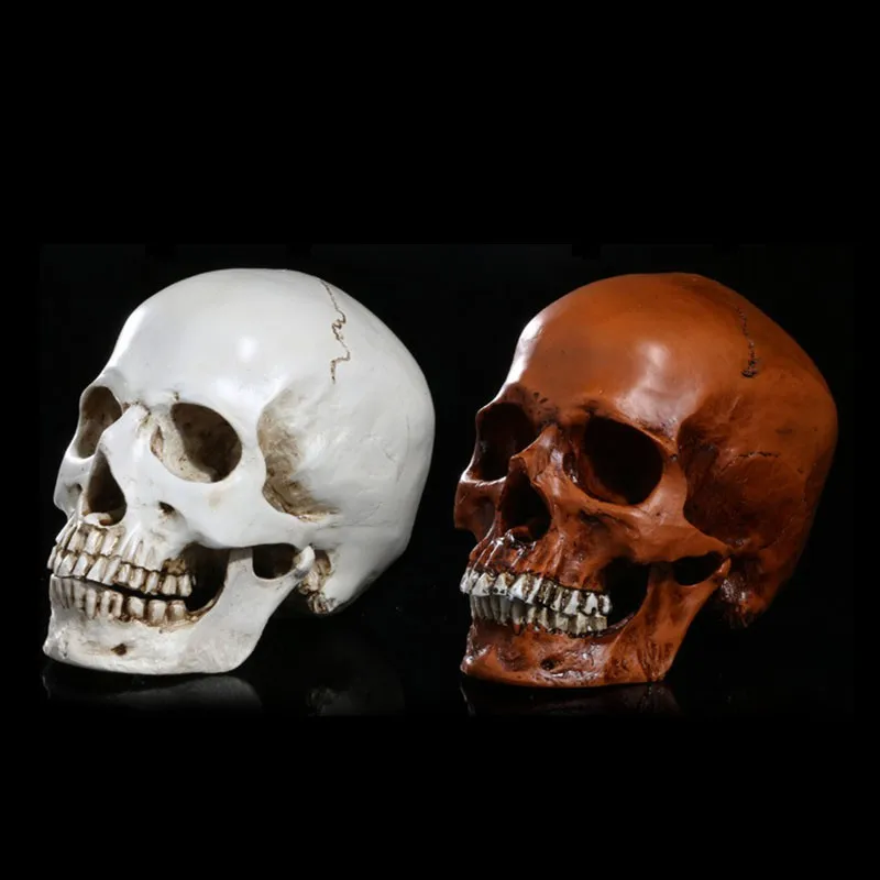 homosapiens skull statue figurine human shaped skeleton head demon home decorchina mainland - Halloween Skull Decorations homosapiens skull statue figurine human shaped skeleton head demon home decorchina mainland - Halloween Skull Decorations