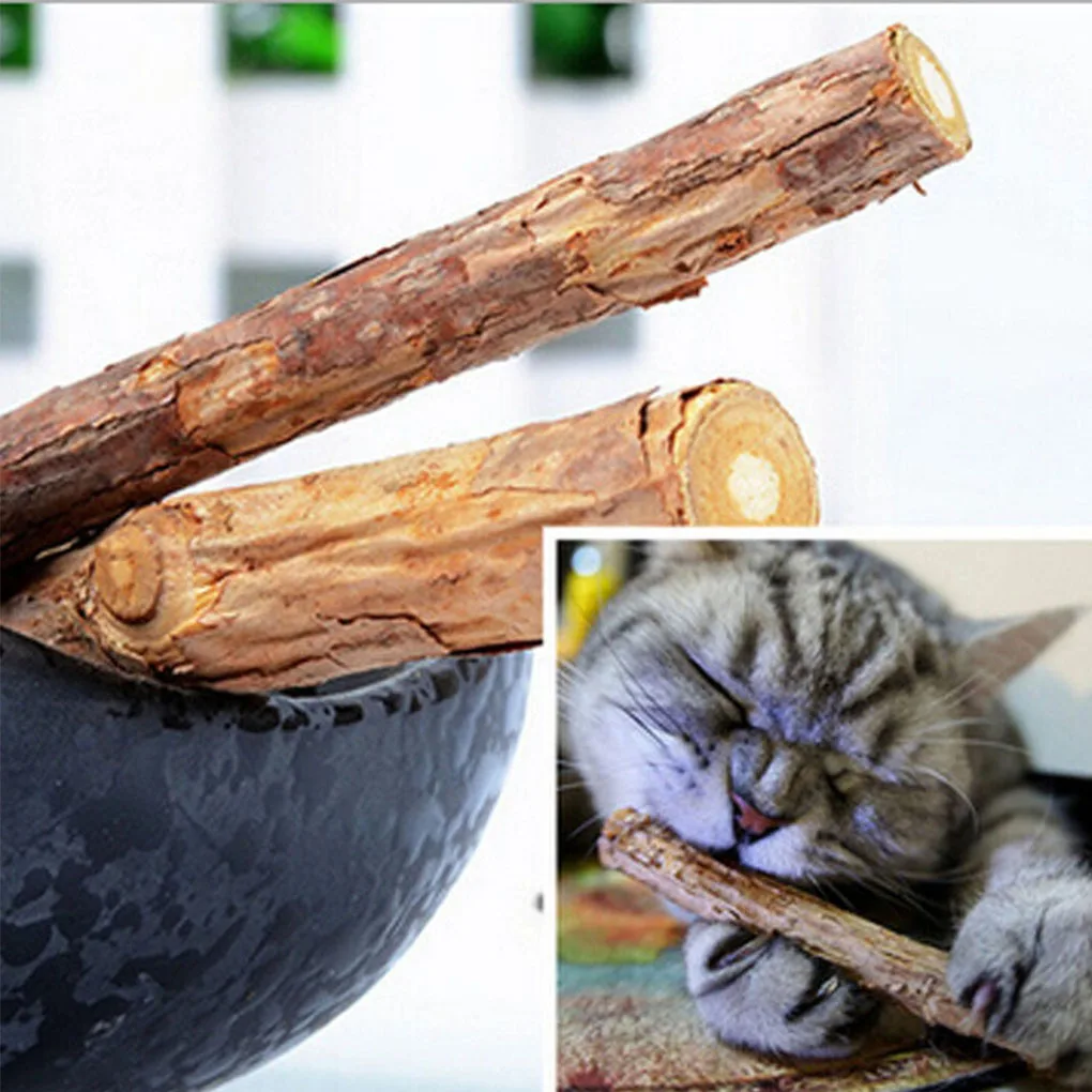 

25g/Pack Cat Cleaning Teeth Teether Catnip Pet Cat Molar Rod Toothpaste Matatabi Silvervine Actinidia Chew Stick Snacks Toy
