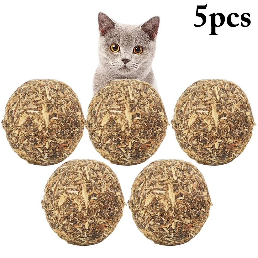 

5PCS Cat Toys Catnip Edible Ball Mint Toy for Cat Kitten Safety Healthy Toys for Cats Supplies