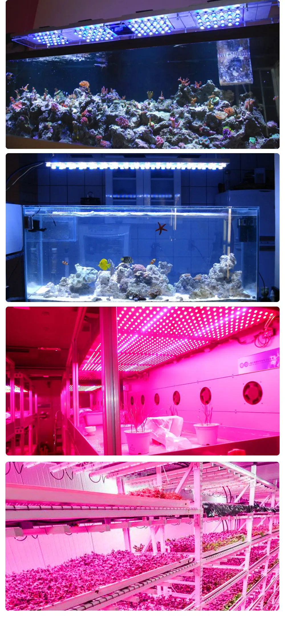 LED_08