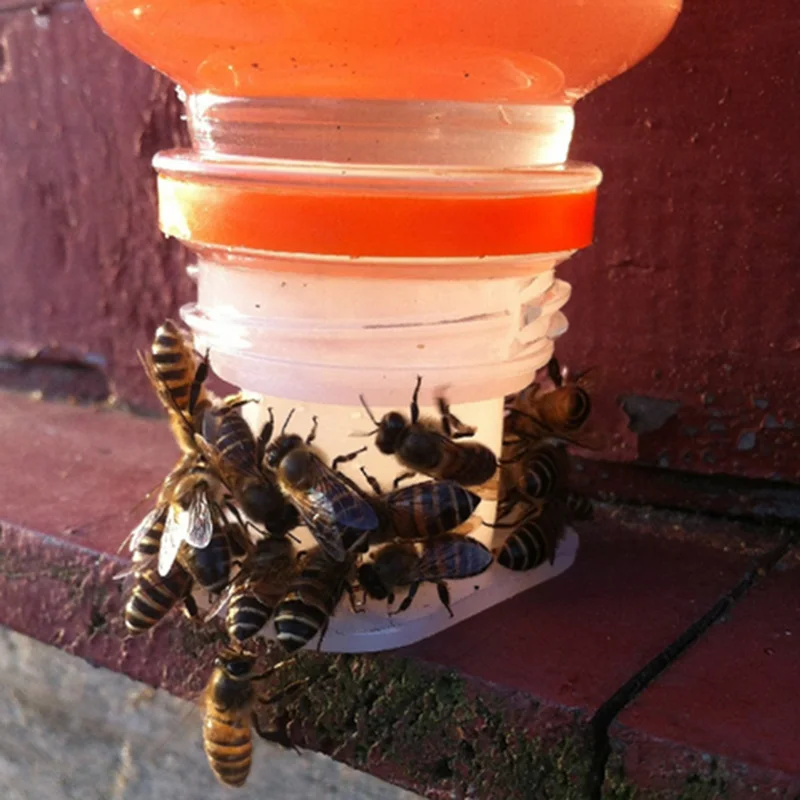2 PCS Bee Drinking Fountain Cup Water Bottle Cap Insect Feeding Drinker Beekeeping Tools | Дом и сад