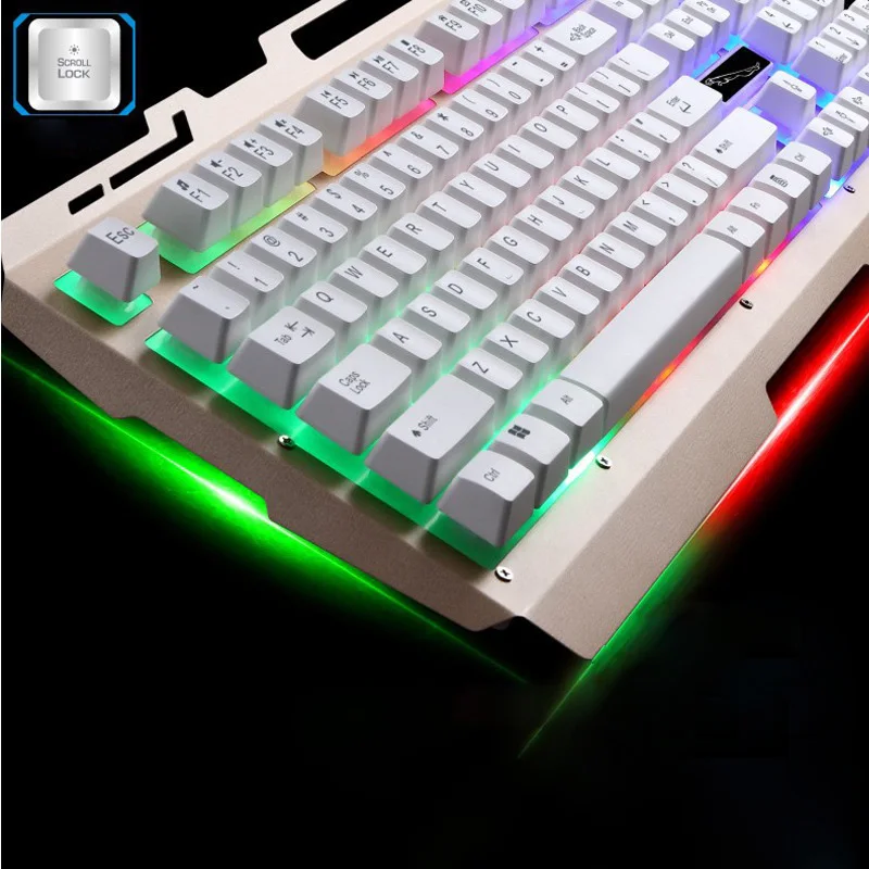 4551700006_1330739566