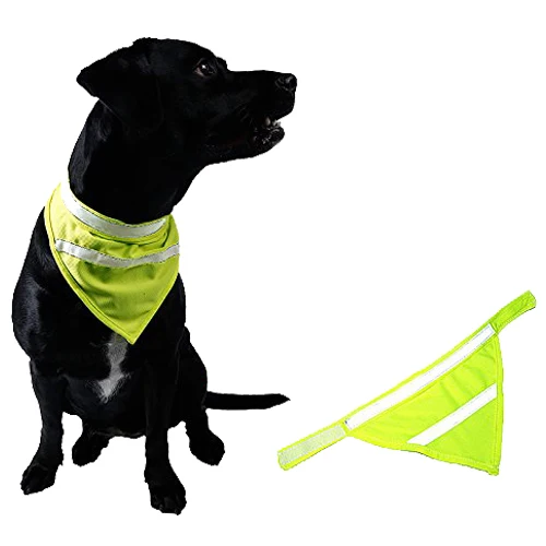 

Practical Boutique Doglemi High Visivility Safety Dog Scarf Pet Bandana with Reflecting Neon Color (Green,S-L)
