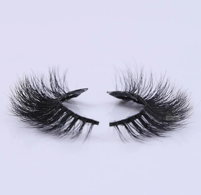 eyelash (3)