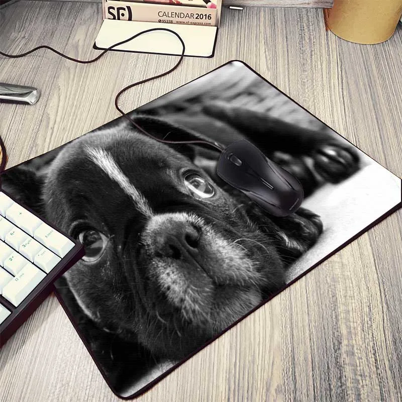 16dogs-thought-lost-dog-widescreen-wallpaper-1920x1080 (1)