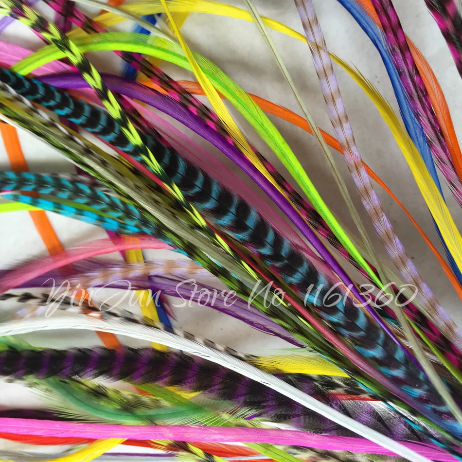 color15pc 2(1)