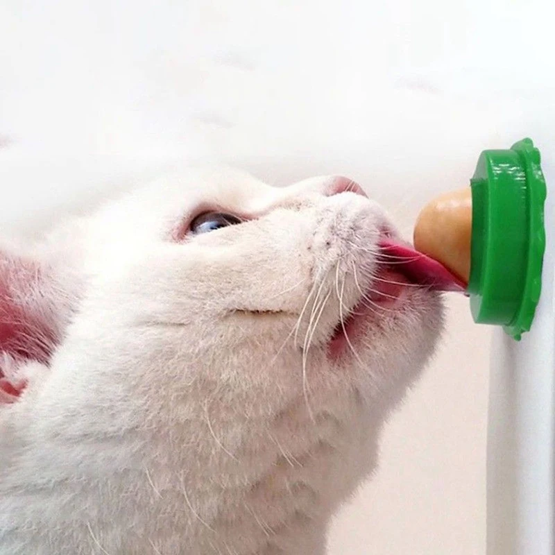 

Healthy Snacks Catnip Ball Candy Licking Solid Nutrition Gel Energy Ball for Cats Increase Drinking Water Help Digestion