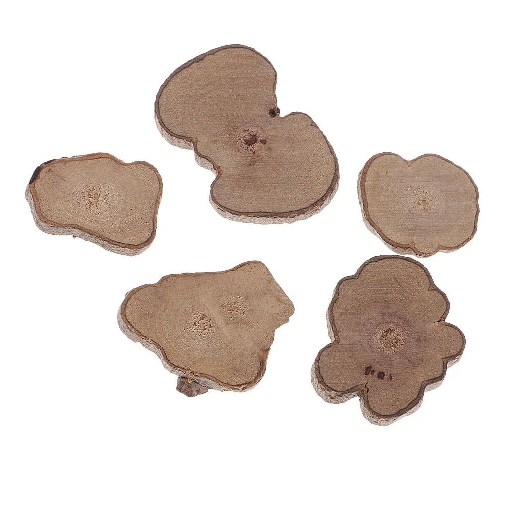 20pcs Irregular Shapes Wood Log Slices Discs Decorative Rustic Wedding Table Decor for Home Office Ornament DIY Crafts Supplies