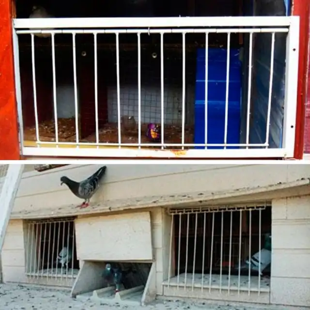Us 10 6 28 Off Pigeon Door Wire Bars Frame Entrance Trapping Doors Loft Supplies Racing Bird Cages Nests Products Birds Catch Bar In Bird Cages