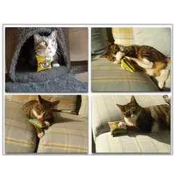 Кошка игрушка подушка игрушка котенок толстый кот с кошкой товары для животных товары для кошек игрушки для животных