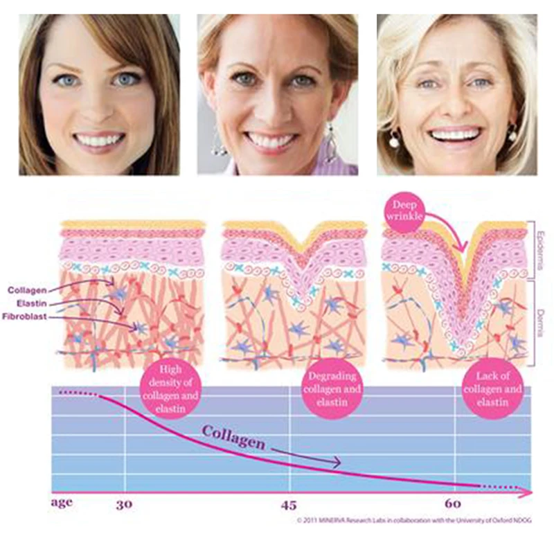 antiaging4_large