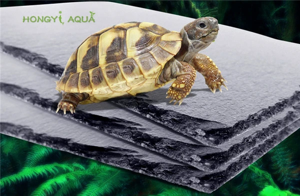 onpeilbaar Kinderpaleis extract 1 stuk natuurlijke rock schildpad steen pad aquarium benodigdheden voedsel  wastafel voedsel plaat reptiel hagedis hydraterende isolatie schildpad|aquarium  supplies|rock turtlesturtle rock - AliExpress