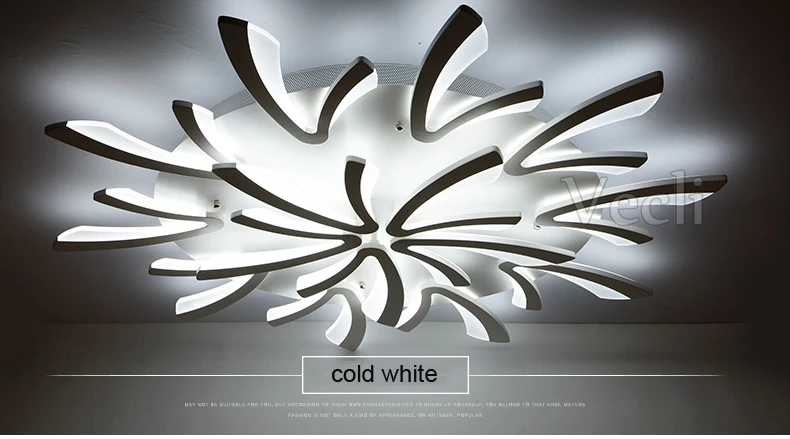Ceiling lamps (16)