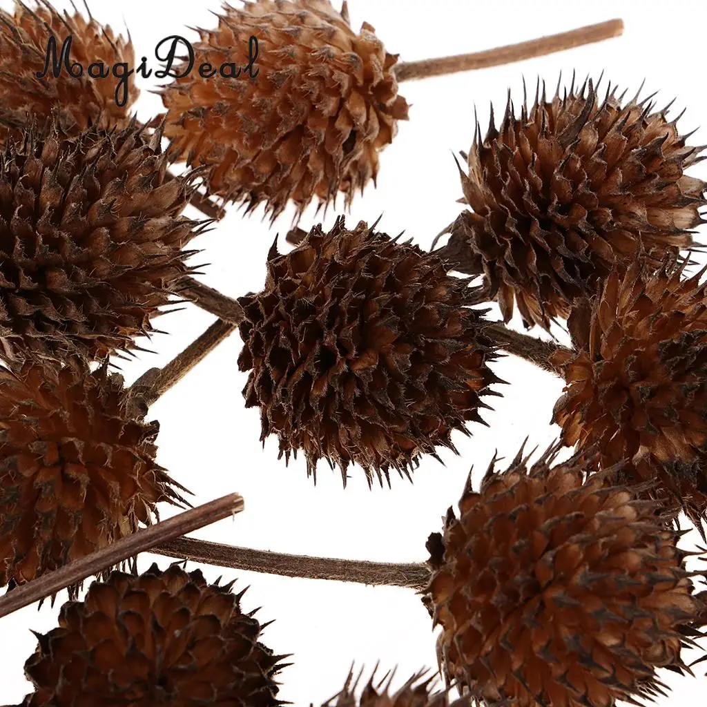 50 шт оптом Натуральные сушеные цветы Gomphrena globosa бутоны ручной работы конфетная