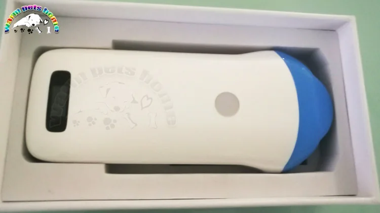 portable ultrasound scanner