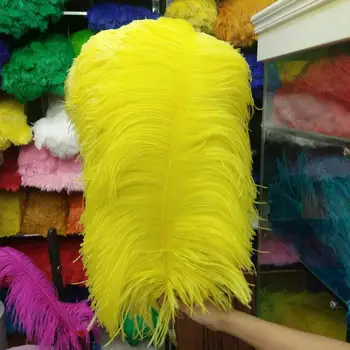 

Beautiful 50 PCS Yellow "thick stem" male ostrich feathers 60-65 cm/24-26 inches Wedding Birthday Christmas Decorations