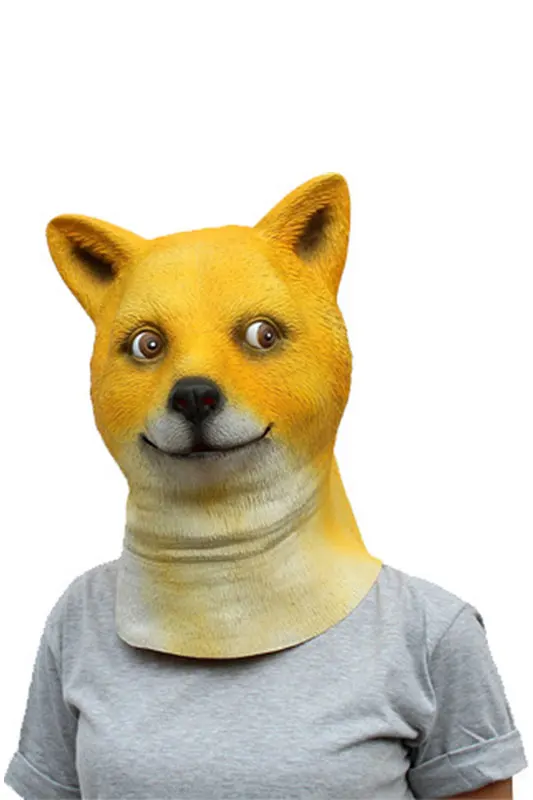 216908_1