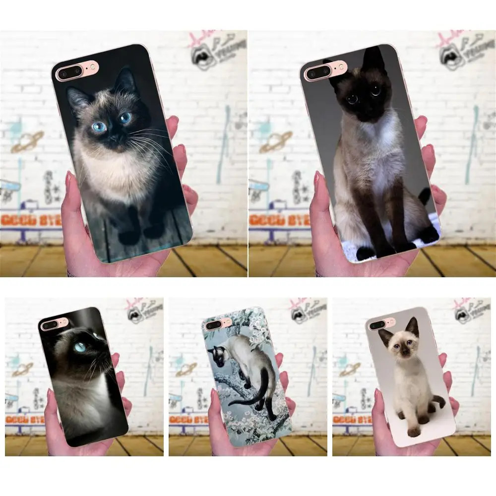 Чехол в синюю горошек с традиционным сиамским котом для Galaxy J1 J2 J3 J330 J4 J5 J6 J7 J730 J8 2015